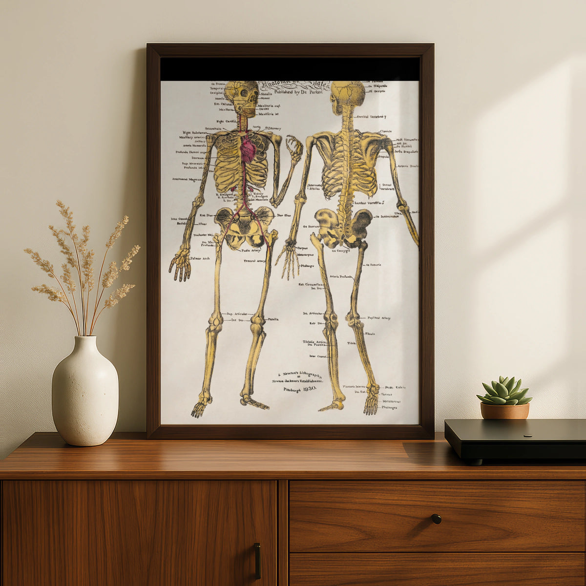 Halloween Skeleton Anatomy Poster, Vintage Medical Chart Wall Art, Gothic Skull Print