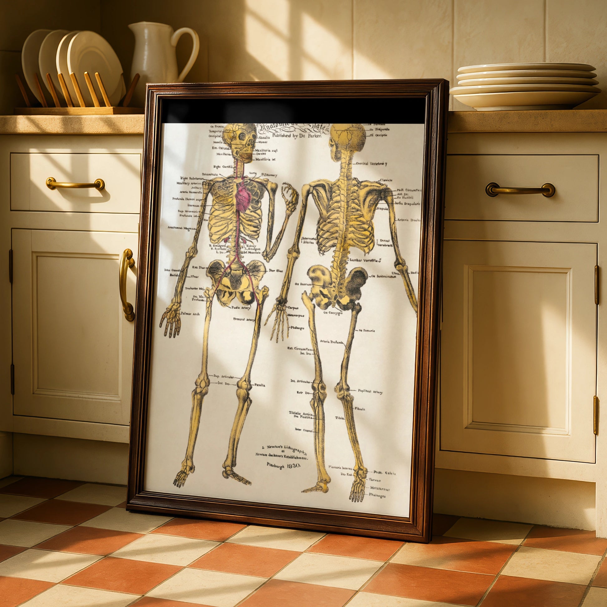 Halloween Skeleton Anatomy Poster, Vintage Medical Chart Wall Art, Gothic Skull Print