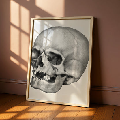 Halloween Skull Poster, Gothic Anatomy Wall Art, Dark Monochrome Skull Print, Spooky Decor