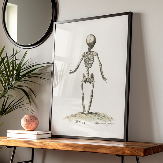 Vintage Skeleton Anatomy Poster, Halloween Wall Art, Gothic Antique Print, Spooky Decor