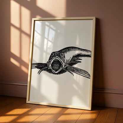 Vintage Catfish Engraving Poster, Spooky Halloween Art Print, Gothic Black White Wall Art