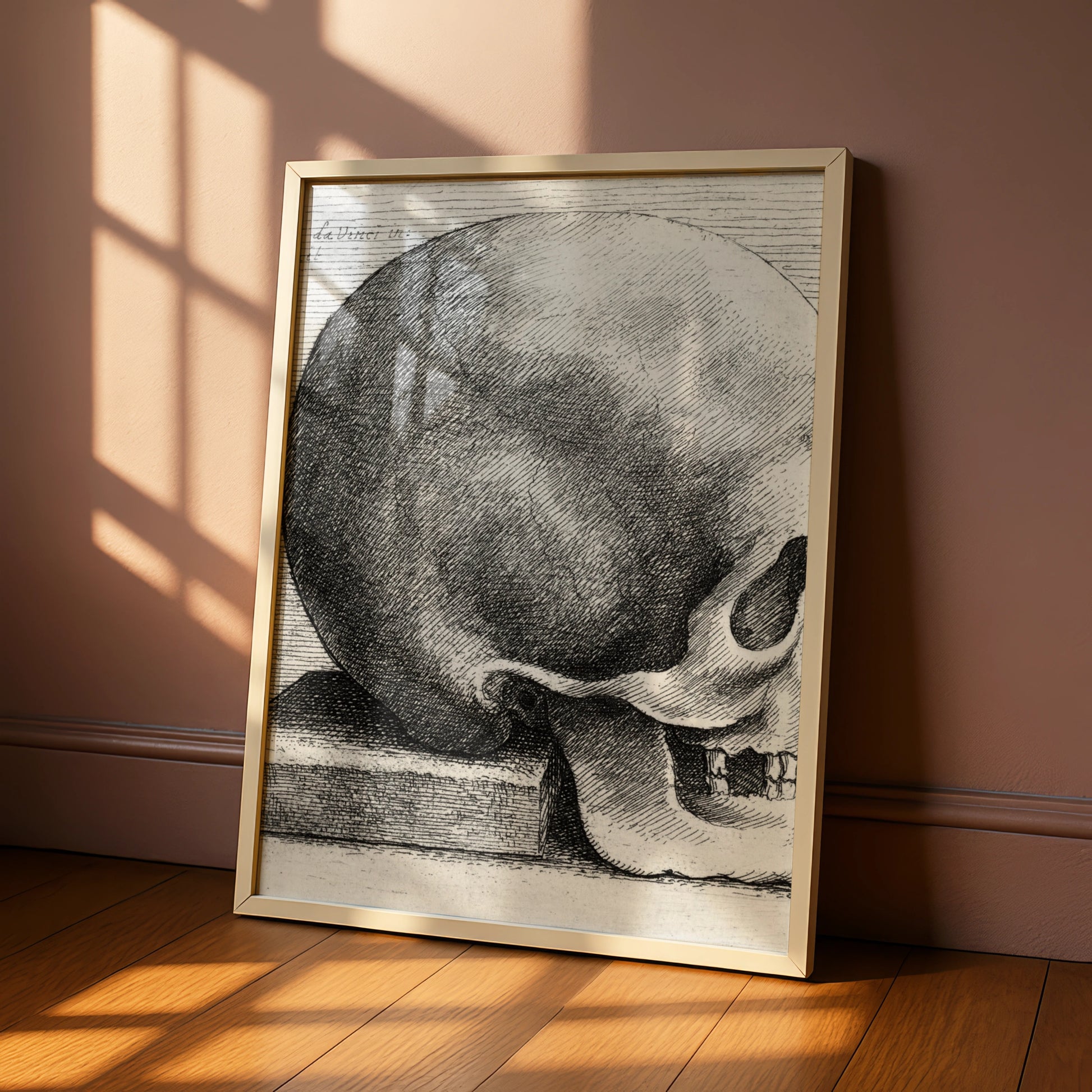 Halloween Skull Poster, Vintage Engraving Wall Art, Gothic Da Vinci Anatomy Print