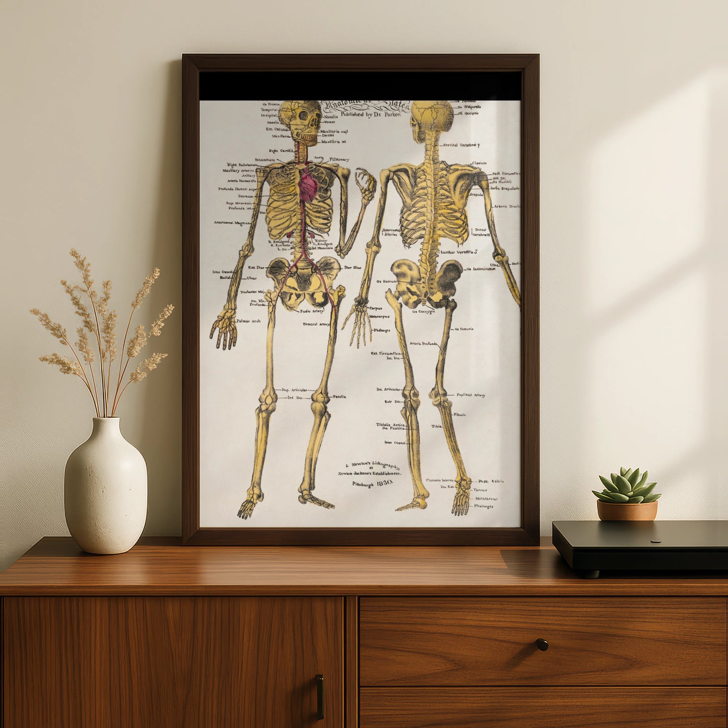 Halloween Skeleton Anatomy Poster, Vintage Medical Chart Wall Art, Gothic Skull Print