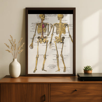 Halloween Skeleton Anatomy Poster, Vintage Medical Chart Wall Art, Gothic Skull Print