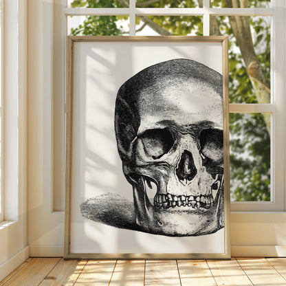 Halloween Skull Poster, Gothic Black White Skull Wall Art, Vintage Engraving Print