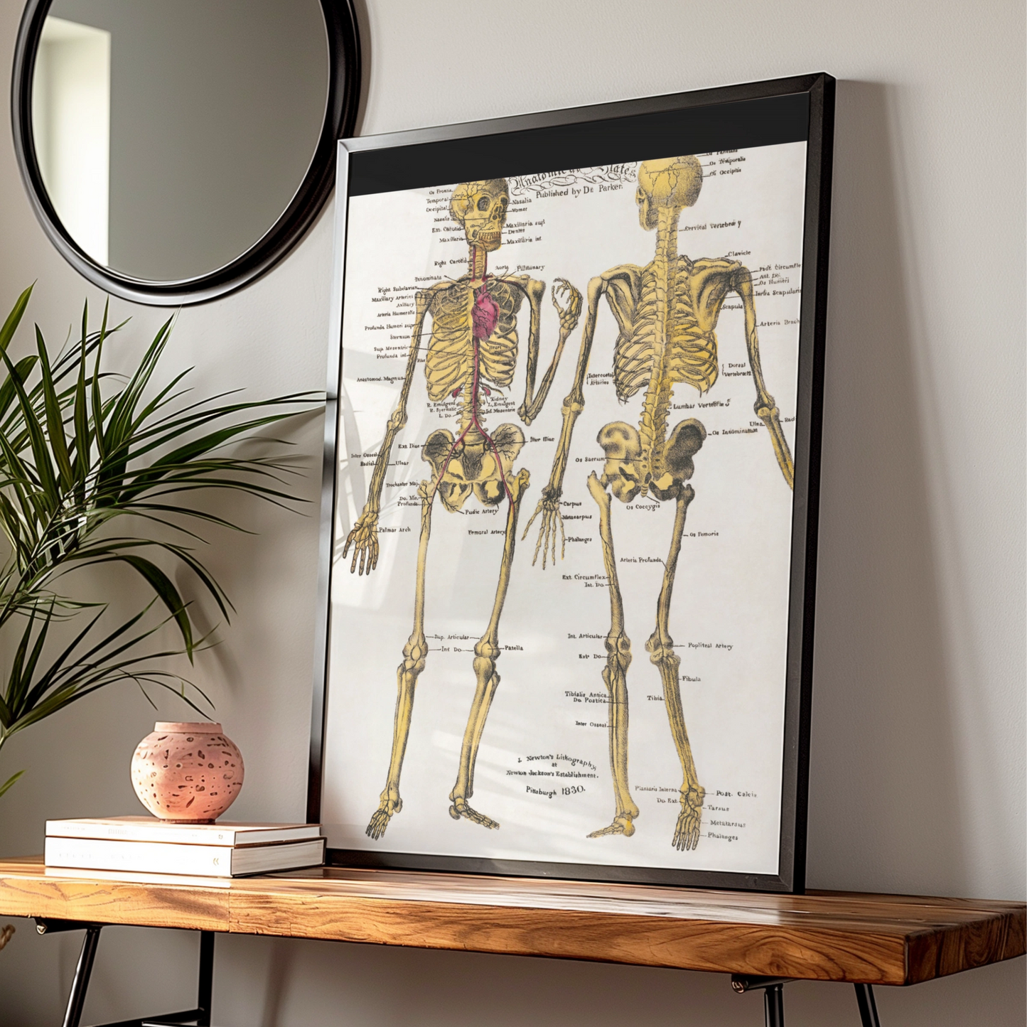 Halloween Skeleton Anatomy Poster, Vintage Medical Chart Wall Art, Gothic Skull Print