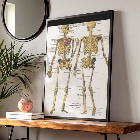 Halloween Skeleton Anatomy Poster, Vintage Medical Chart Wall Art, Gothic Skull Print