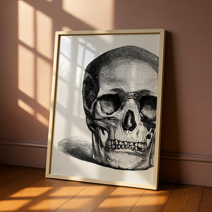 Halloween Skull Poster, Gothic Black White Skull Wall Art, Vintage Engraving Print