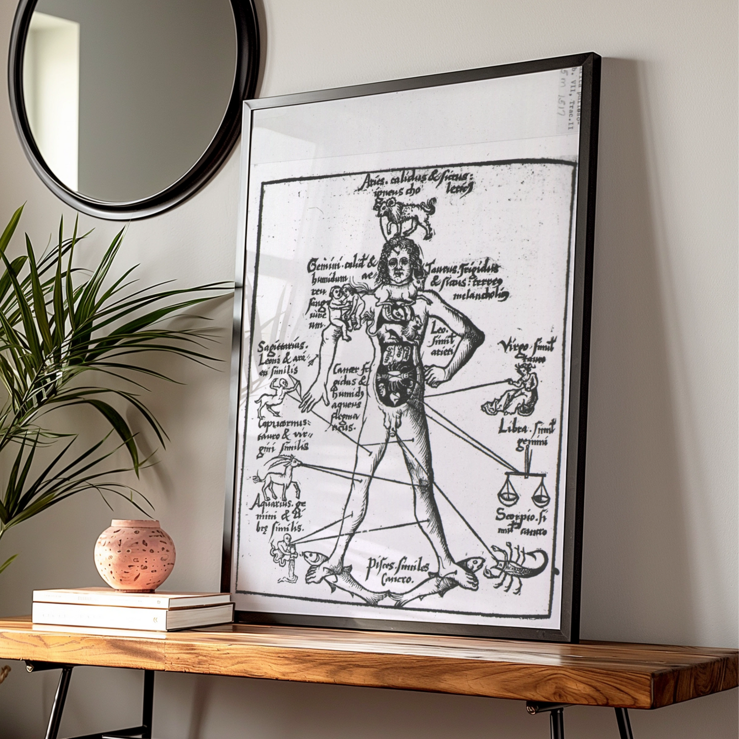 Medieval Zodiac Man Poster, Astrology Anatomy Art Print, Vintage Star Sign Wall Art