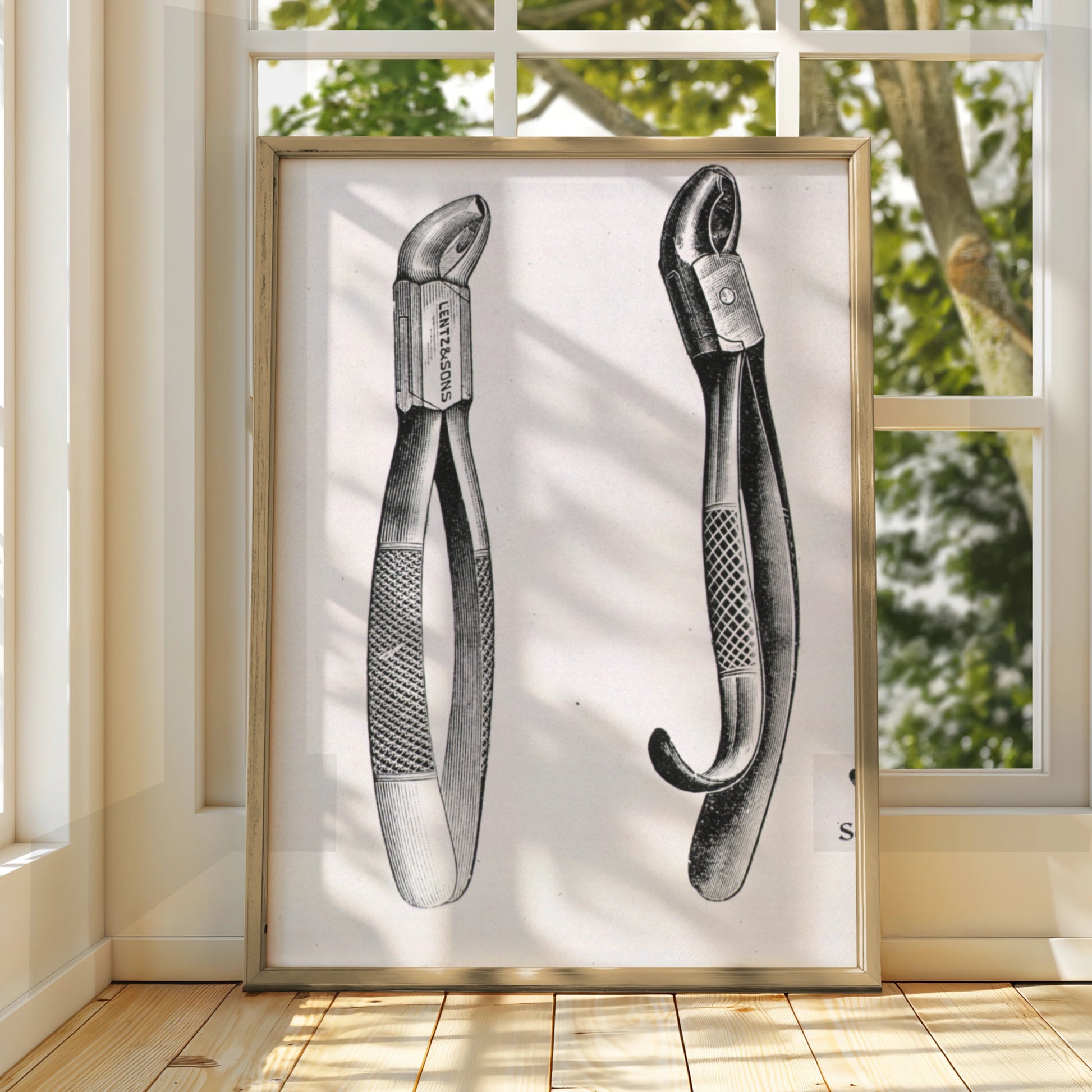 Vintage Dental Forceps Print, Antique Dentist Tool Poster, Victorian Medical Wall Art
