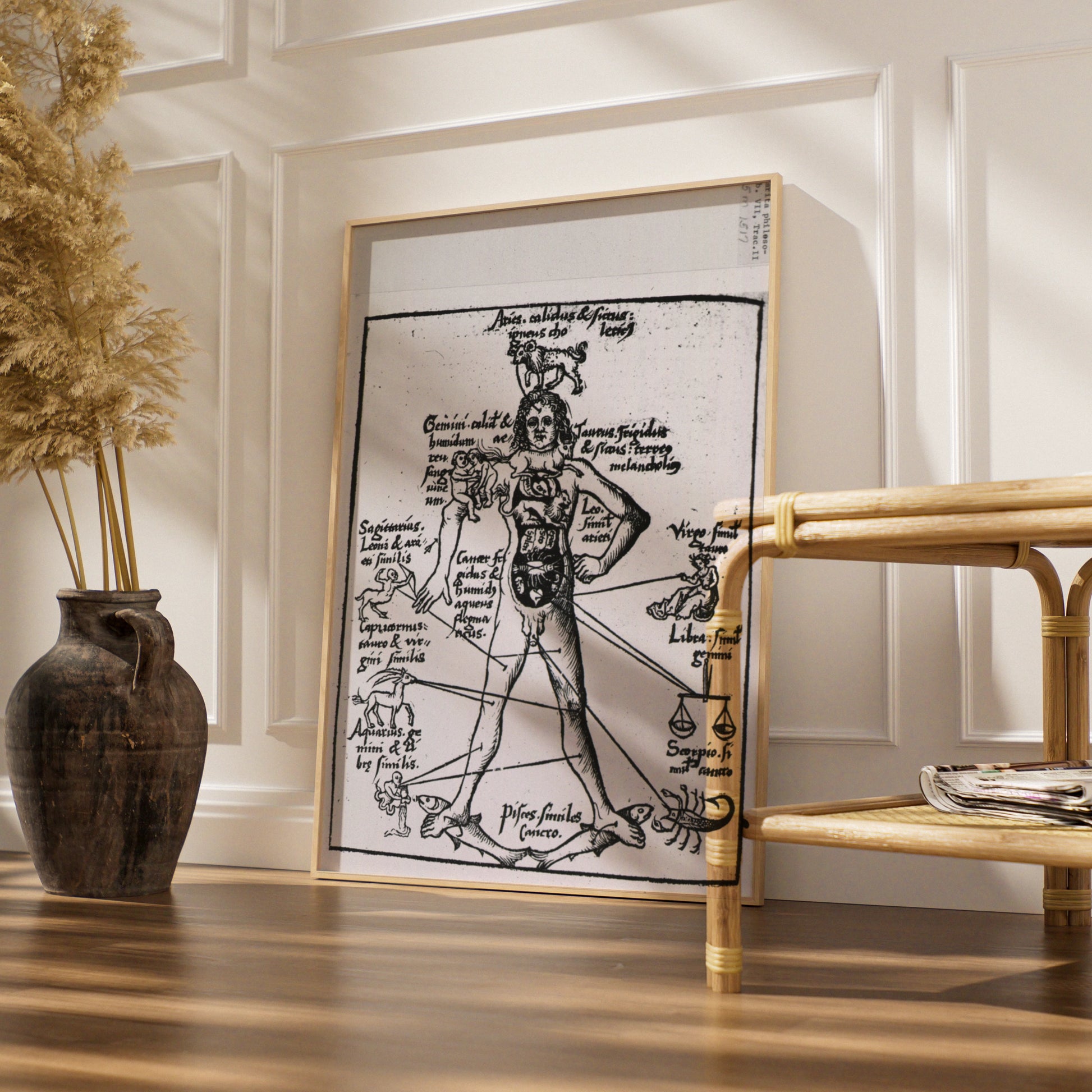 Medieval Zodiac Man Poster, Astrology Anatomy Art Print, Vintage Star Sign Wall Art
