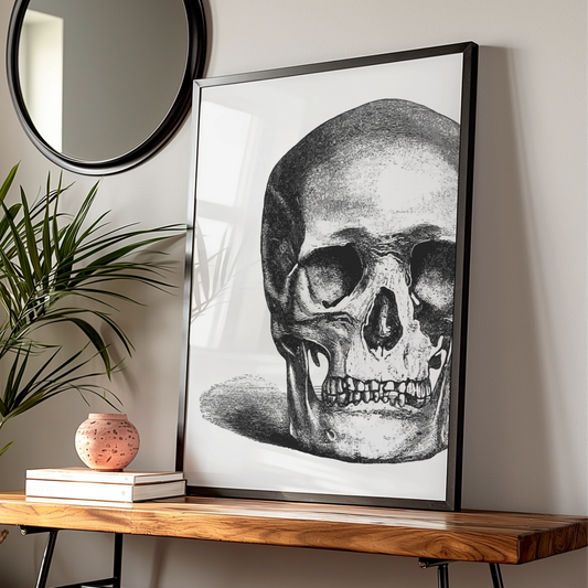 Halloween Skull Poster, Gothic Black White Skull Wall Art, Vintage Engraving Print