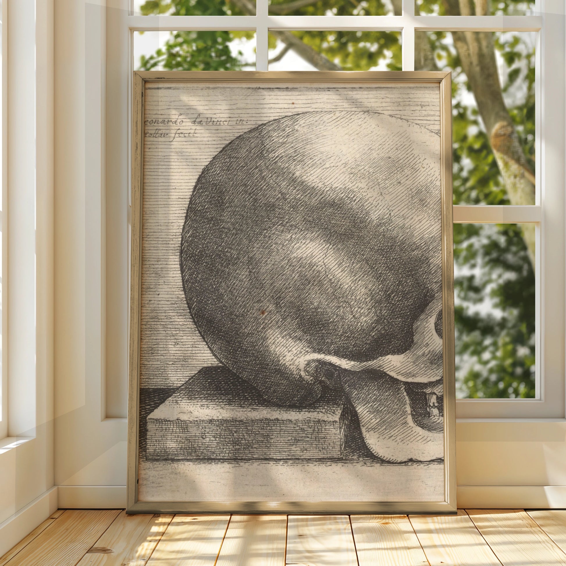 Leonardo da Vinci Skull Etching Poster, Halloween Art, Anatomy Wall Print