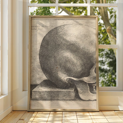 Leonardo da Vinci Skull Etching Poster, Halloween Art, Anatomy Wall Print