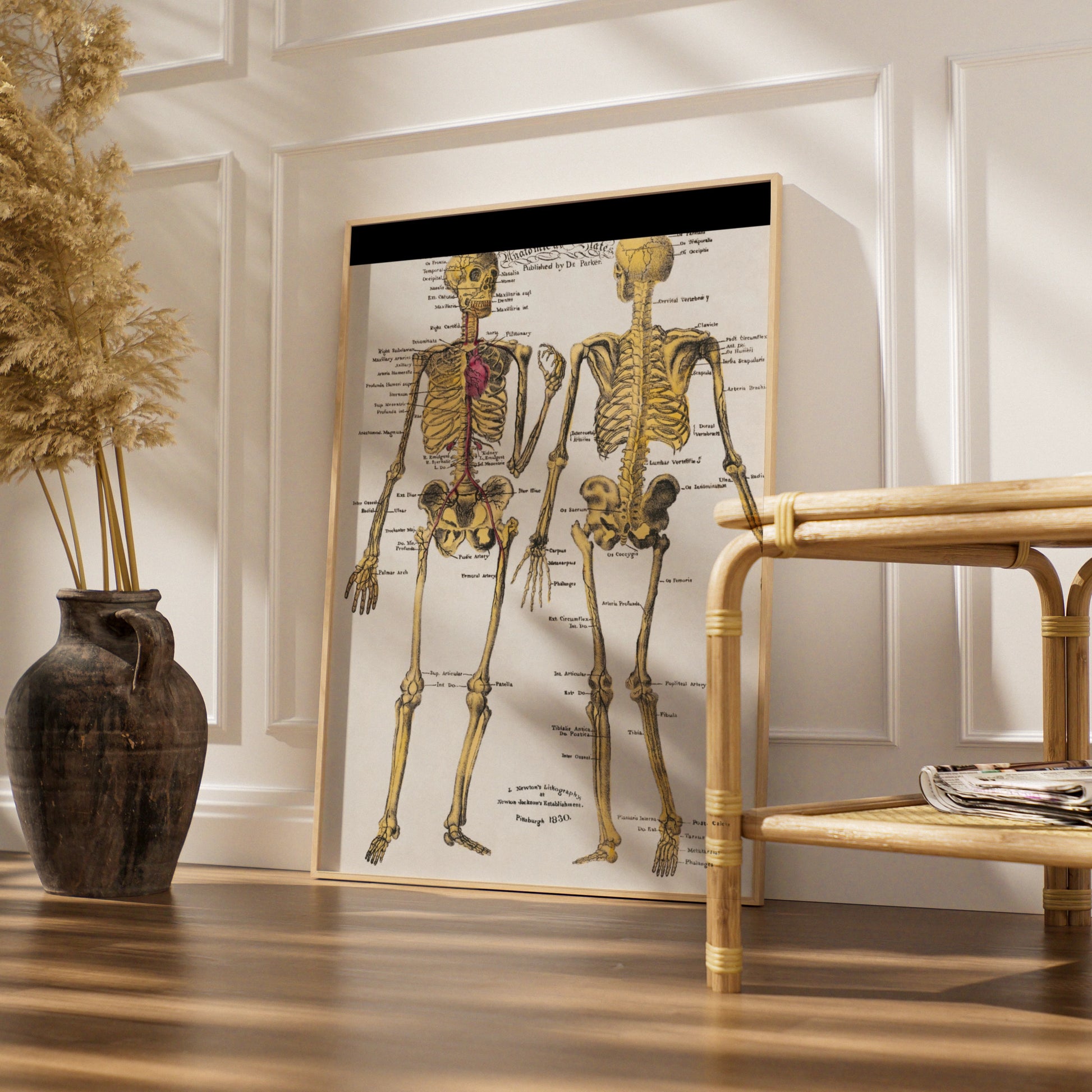 Halloween Skeleton Anatomy Poster, Vintage Medical Chart Wall Art, Gothic Skull Print