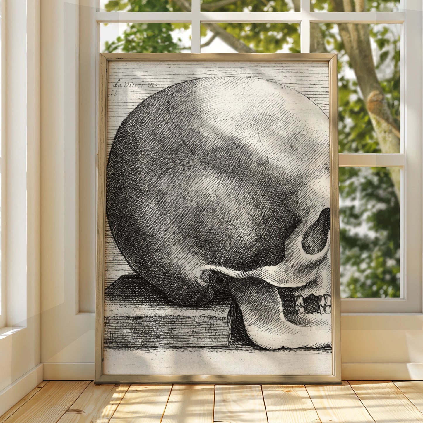Halloween Skull Poster, Vintage Engraving Wall Art, Gothic Da Vinci Anatomy Print