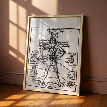 Medieval Zodiac Man Poster, Astrology Anatomy Art Print, Vintage Star Sign Wall Art