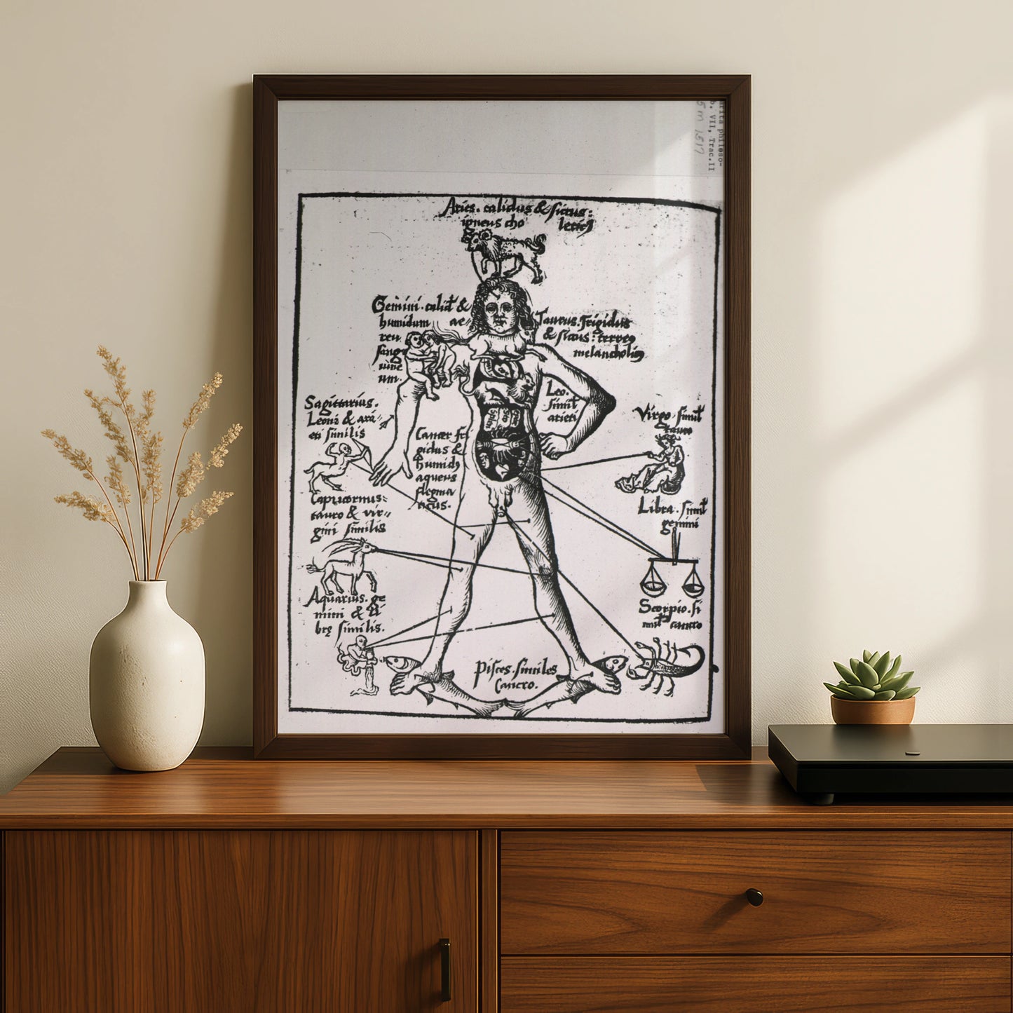 Medieval Zodiac Man Poster, Astrology Anatomy Art Print, Vintage Star Sign Wall Art