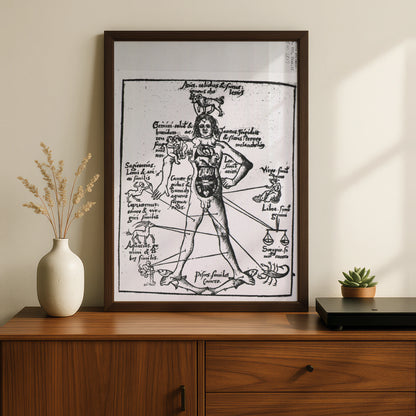 Medieval Zodiac Man Poster, Astrology Anatomy Art Print, Vintage Star Sign Wall Art