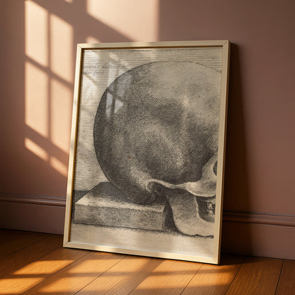 Leonardo da Vinci Skull Etching Poster, Halloween Art, Anatomy Wall Print